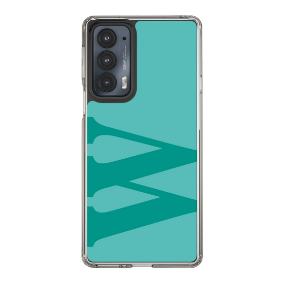 Slim Protection Case［ Original - initial color - W light green ］