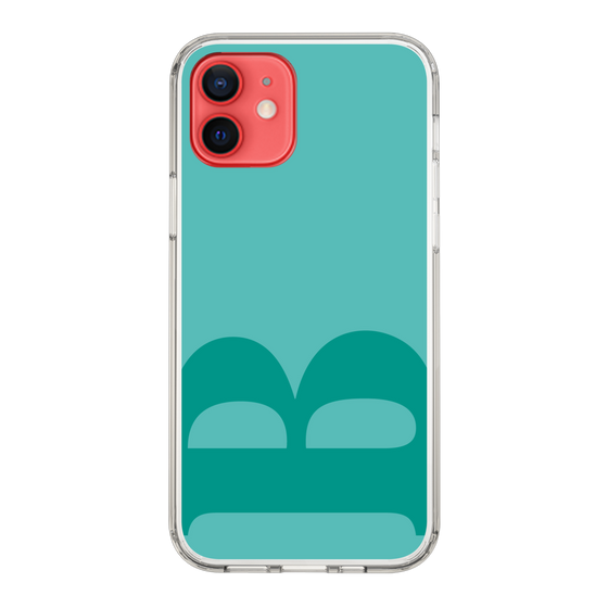 Slim Protection Case［ Original - initial color - B light green ］