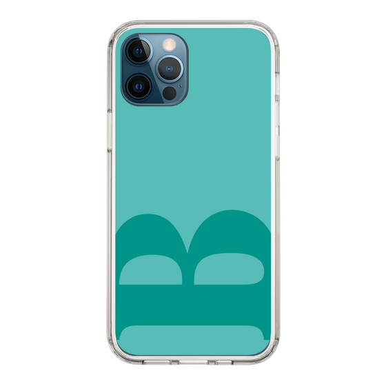 Slim Protection Case［ Original - initial color - B light green ］