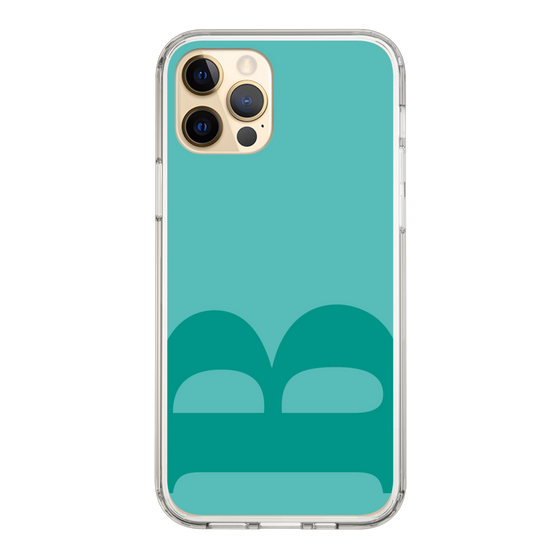 Slim Protection Case［ Original - initial color - B light green ］