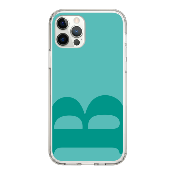Slim Protection Case［ Original - initial color - B light green ］