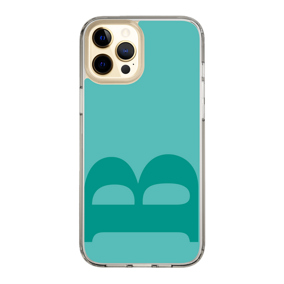 Slim Protection Case［ Original - initial color - B light green ］