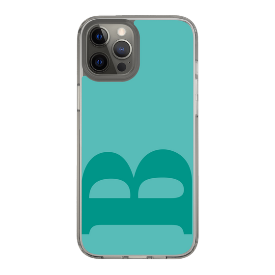 Slim Protection Case［ Original - initial color - B light green ］