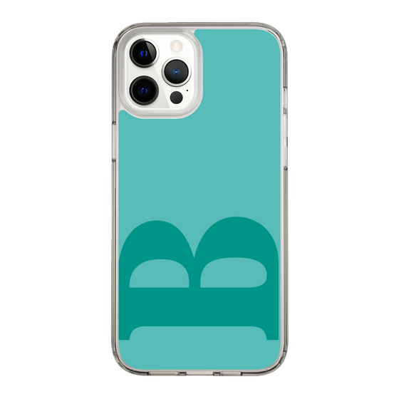 Slim Protection Case［ Original - initial color - B light green ］