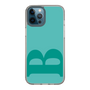 Slim Protection Case［ Original - initial color - B light green ］