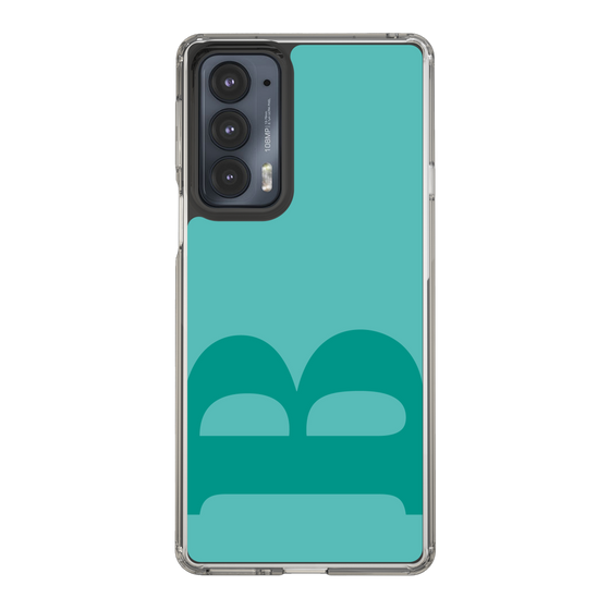 Slim Protection Case［ Original - initial color - B light green ］