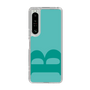 Slim Protection Case［ Original - initial color - B light green ］