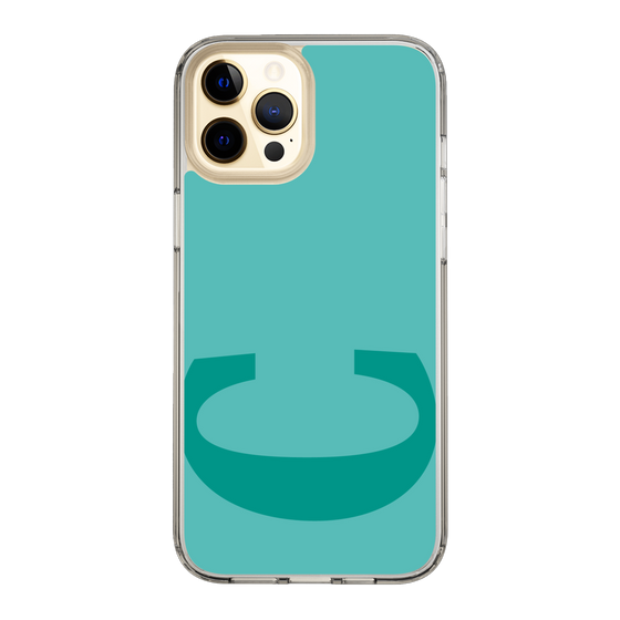 Slim Protection Case［ Original - initial color - C light green ］