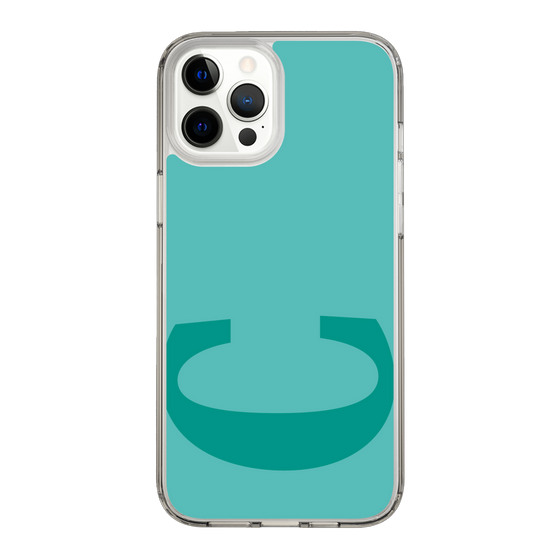 Slim Protection Case［ Original - initial color - C light green ］