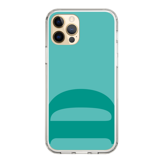 Slim Protection Case［ Original - initial color - D light green ］