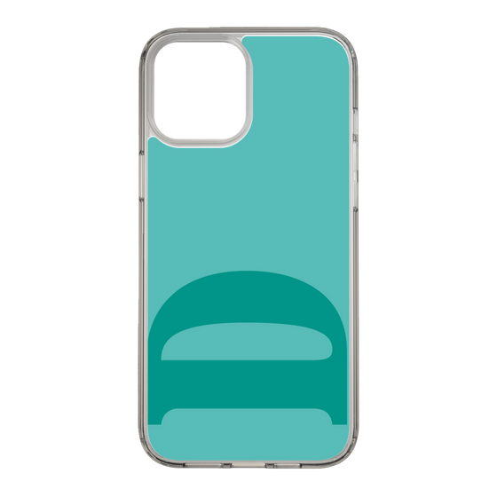 Slim Protection Case［ Original - initial color - D light green ］
