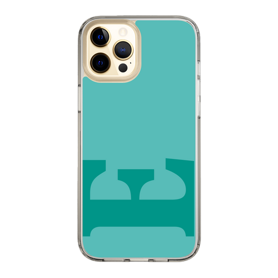 Slim Protection Case［ Original - initial color - E light green ］