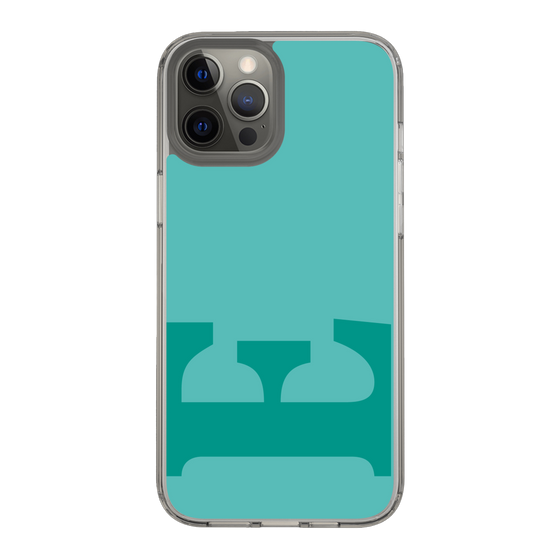 Slim Protection Case［ Original - initial color - E light green ］