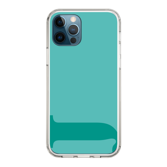 Slim Protection Case［ Original - initial color - J light green ］