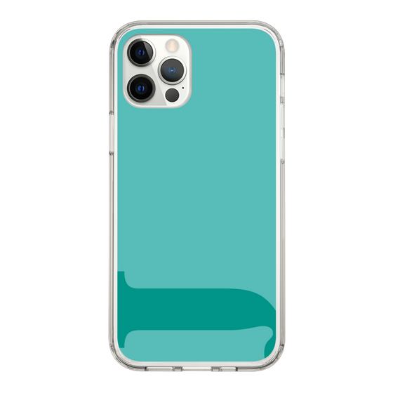 Slim Protection Case［ Original - initial color - J light green ］