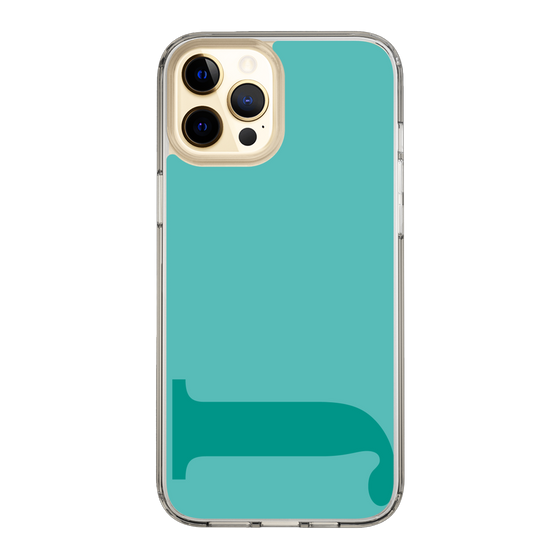 Slim Protection Case［ Original - initial color - J light green ］