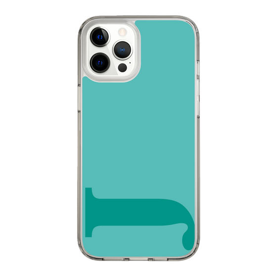 Slim Protection Case［ Original - initial color - J light green ］