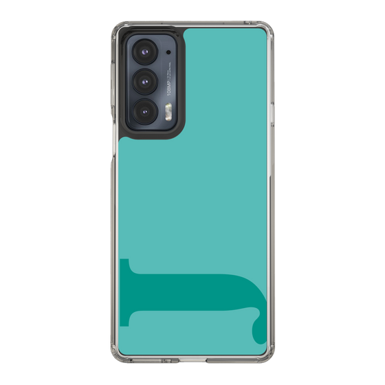 Slim Protection Case［ Original - initial color - J light green ］