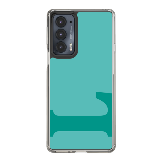Slim Protection Case［ Original - initial color - L light green ］