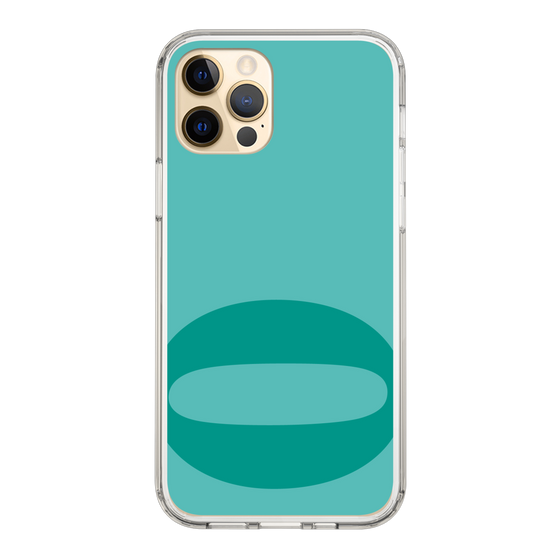 Slim Protection Case［ Original - initial color - O light green ］