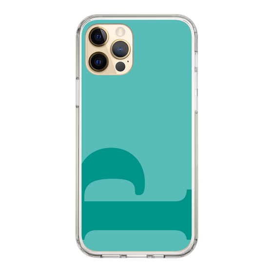 Slim Protection Case［ Original - initial color - P light green ］