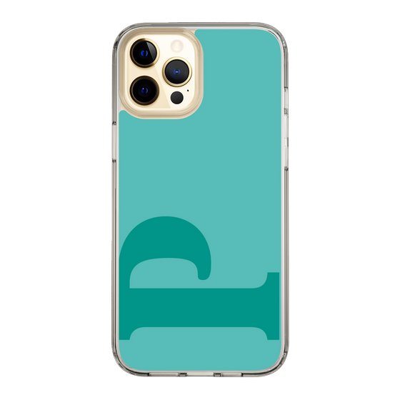Slim Protection Case［ Original - initial color - P light green ］