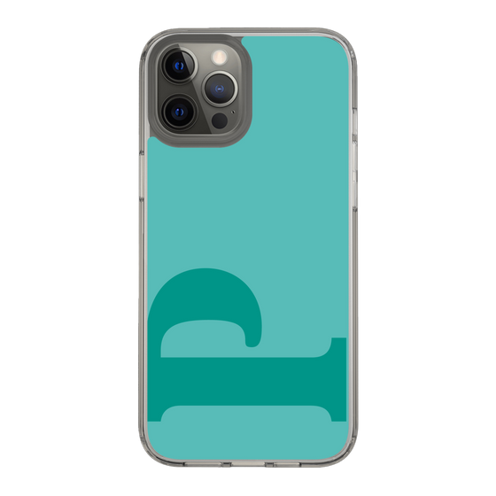 Slim Protection Case［ Original - initial color - P light green ］