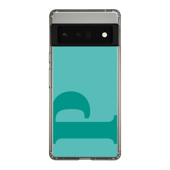 Slim Protection Case［ Original - initial color - P light green ］