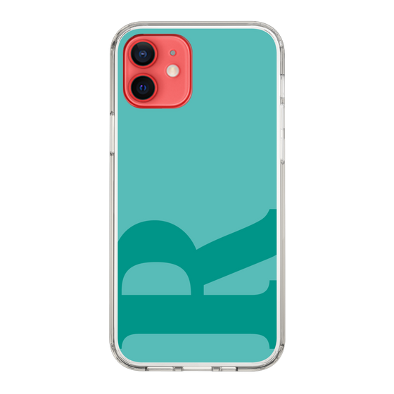 Slim Protection Case［ Original - initial color - R light green ］