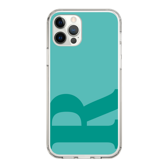 Slim Protection Case［ Original - initial color - R light green ］