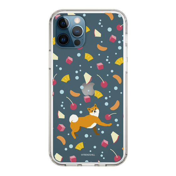 Slim Protection Case［ Shibata-san - Fruit Punch ］
