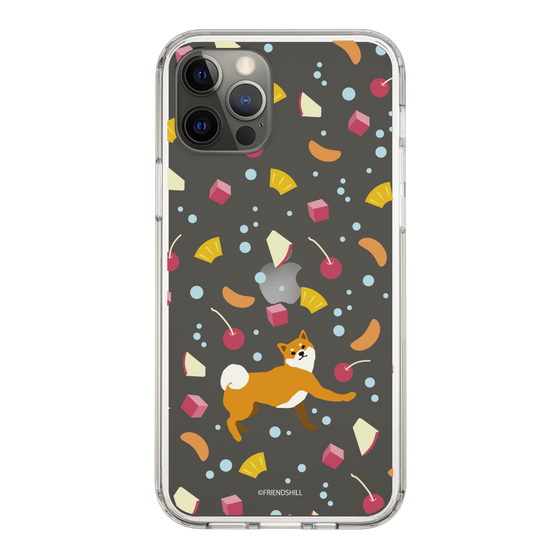 Slim Protection Case［ Shibata-san - Fruit Punch ］