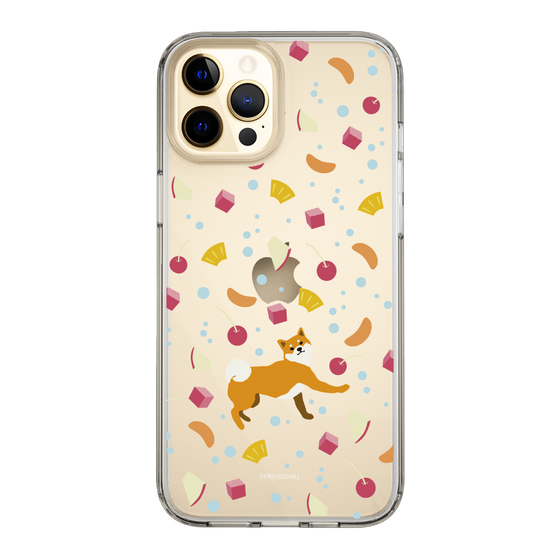 Slim Protection Case［ Shibata-san - Fruit Punch ］