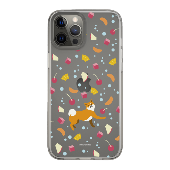 Slim Protection Case［ Shibata-san - Fruit Punch ］