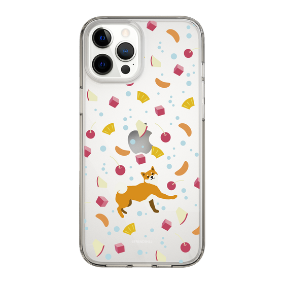 Slim Protection Case［ Shibata-san - Fruit Punch ］