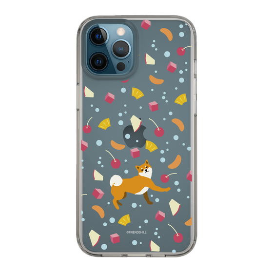 Slim Protection Case［ Shibata-san - Fruit Punch ］