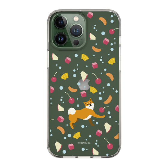 Slim Protection Case［ Shibata-san - Fruit Punch ］