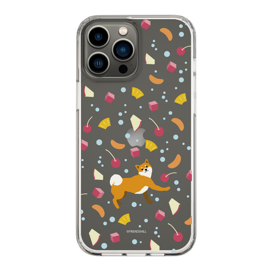 Slim Protection Case［ Shibata-san - Fruit Punch ］