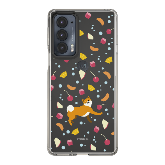 Slim Protection Case［ Shibata-san - Fruit Punch ］