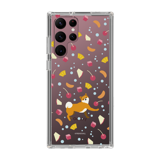 Slim Protection Case［ Shibata-san - Fruit Punch ］