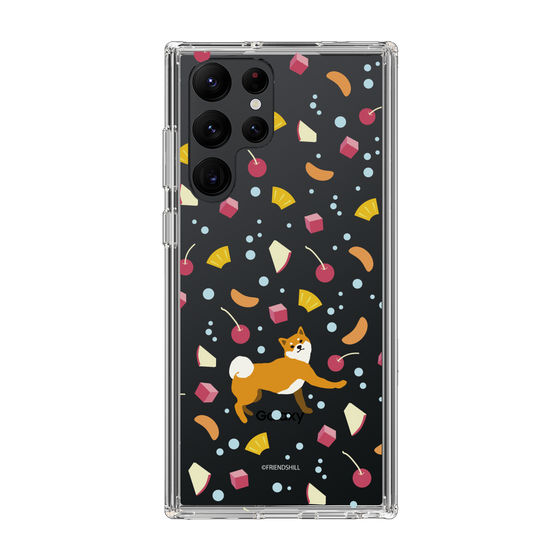 Slim Protection Case［ Shibata-san - Fruit Punch ］