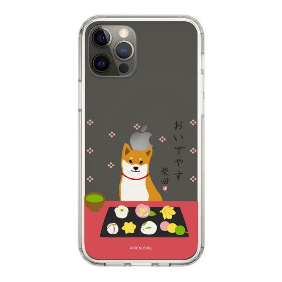 Slim Protection Case［ Shibata-san - Wagashi  ］