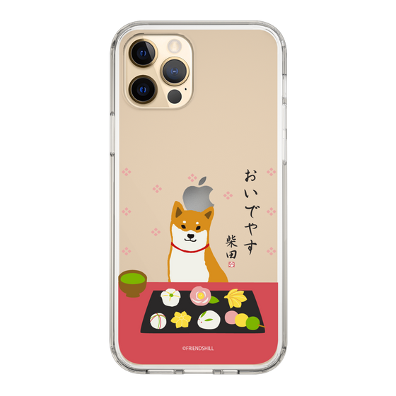 Slim Protection Case［ Shibata-san - Wagashi  ］