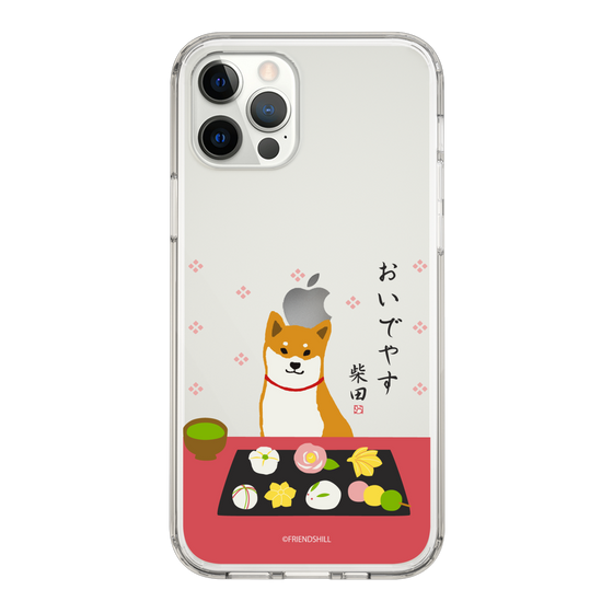Slim Protection Case［ Shibata-san - Wagashi  ］