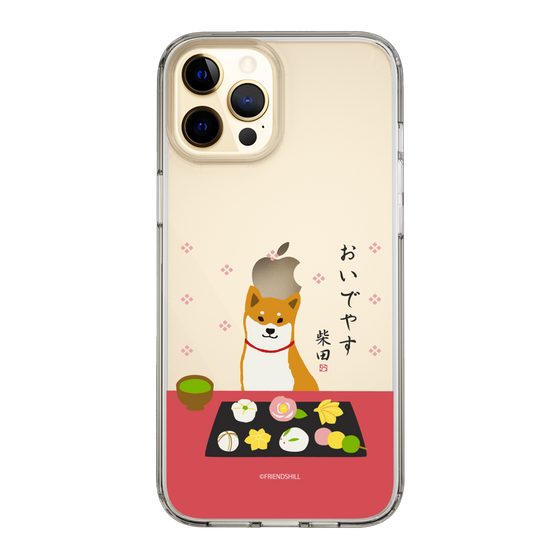 Slim Protection Case［ Shibata-san - Wagashi  ］