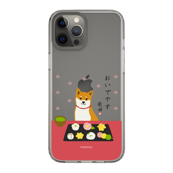 Slim Protection Case［ Shibata-san - Wagashi  ］