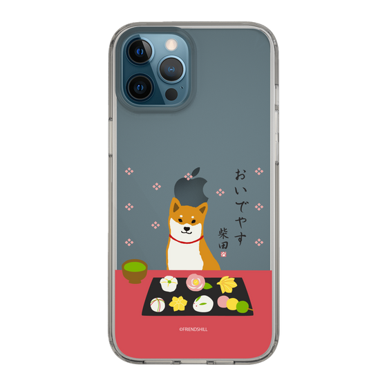 Slim Protection Case［ Shibata-san - Wagashi  ］