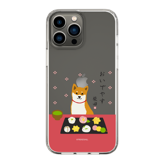 Slim Protection Case［ Shibata-san - Wagashi  ］