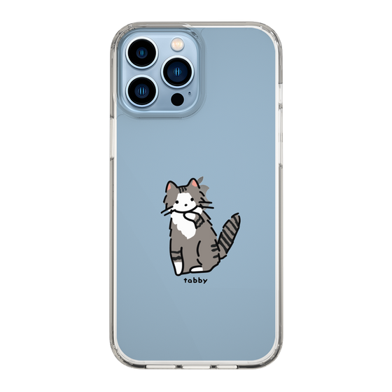 Slim Protection Case［ Original - CASEPLAY Cat - tabby ］