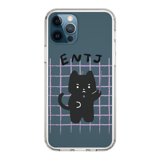 Slim Protection Case［ Original - ENTJ Commander - Character ］